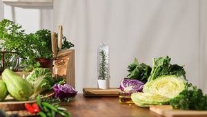 Herb Savor Pod 2.0 - Single