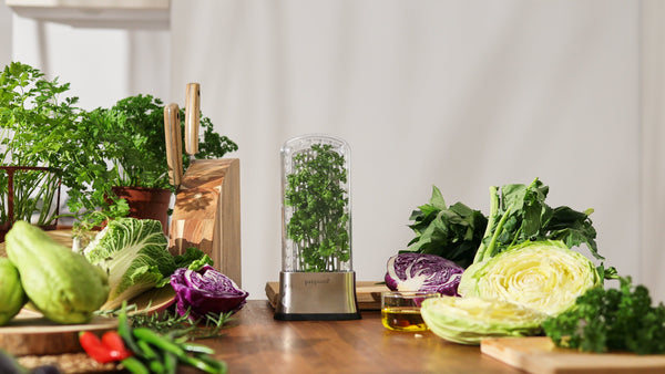 Herb Savor Stainless Steel