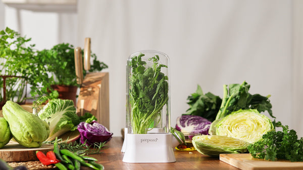 Herb Savor Eco