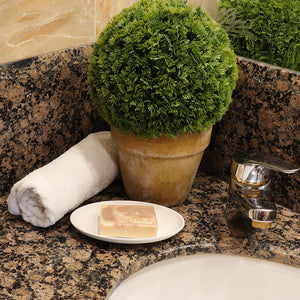 Eco Basics Soap Dish