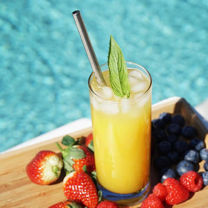 Eco Basics Stainless Steel Straw & Cleaner - 8mm