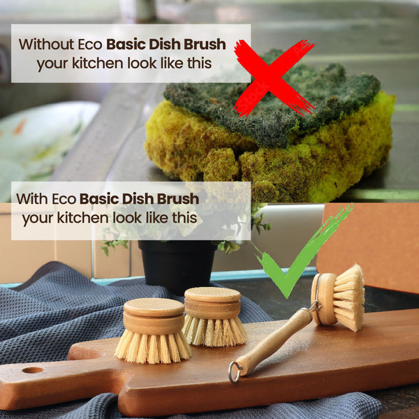 Eco Basics Plastic-Free Kitchen Cleaning Brush Set of 5