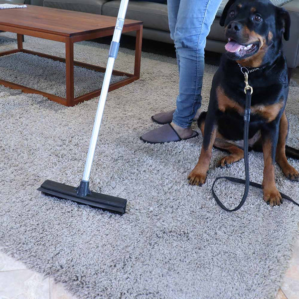 White Magic Pet Hair Broom - BUY 1 GET 1 FREE