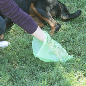 Eco Basics 100% Compostable Doggy Bags 8 Rolls, 120 Bags