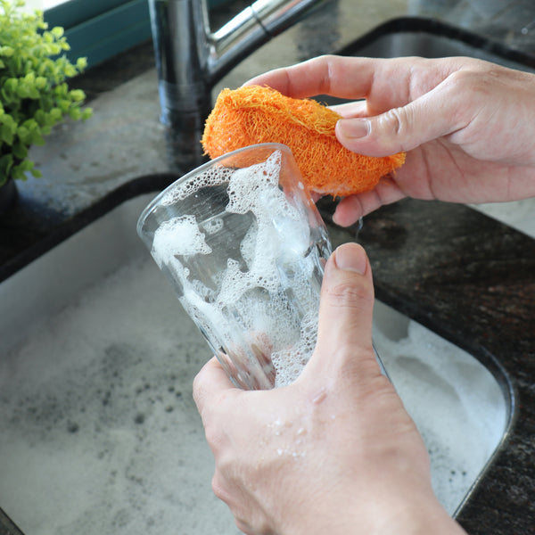 Eco Basics Natural Kitchen Scrubber