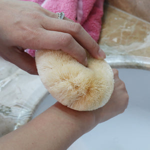 Eco Basics Natural Plus Body Brush