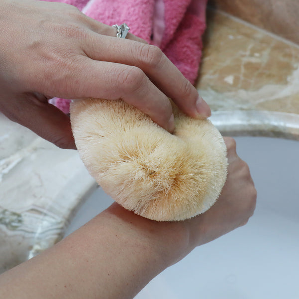 Eco Basics Natural Plus Body Brush