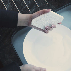 Pop Up Natural Sponges