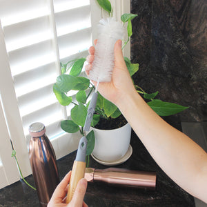 Eco Basics Replaceable Bottle Brush