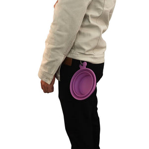 Collapsible Travel Bowl