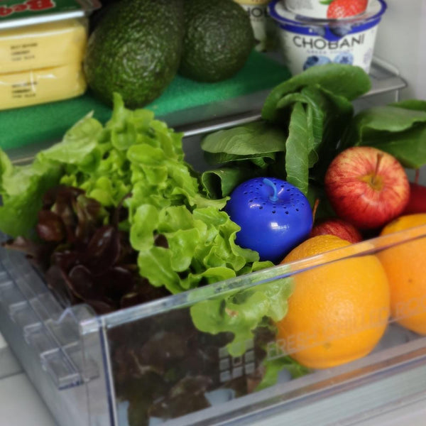 Bluapple® Classic 1 Year Refill Kit 8x Satchel Refills