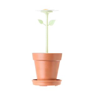 Florganic Tooth Brush Holder