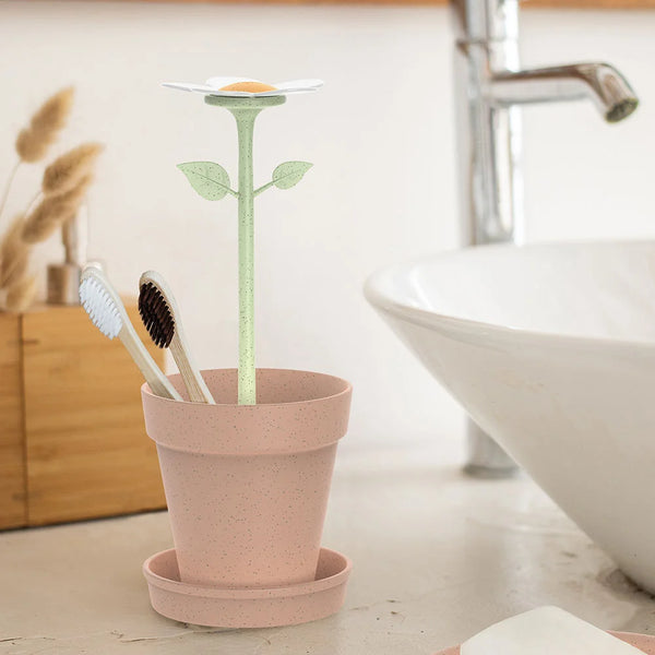 Florganic Tooth Brush Holder