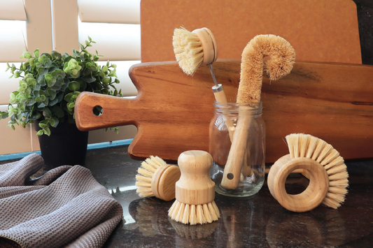 Eco Basics