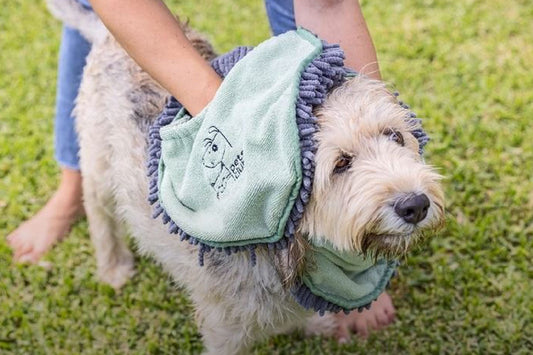 Pet Care