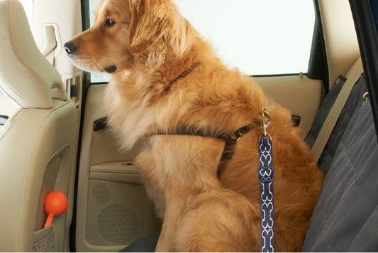 High Road Pet
