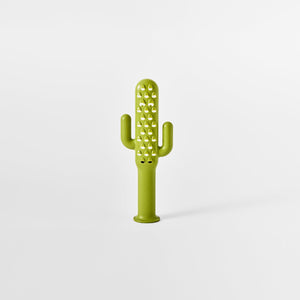 Cactus Cheese Grater