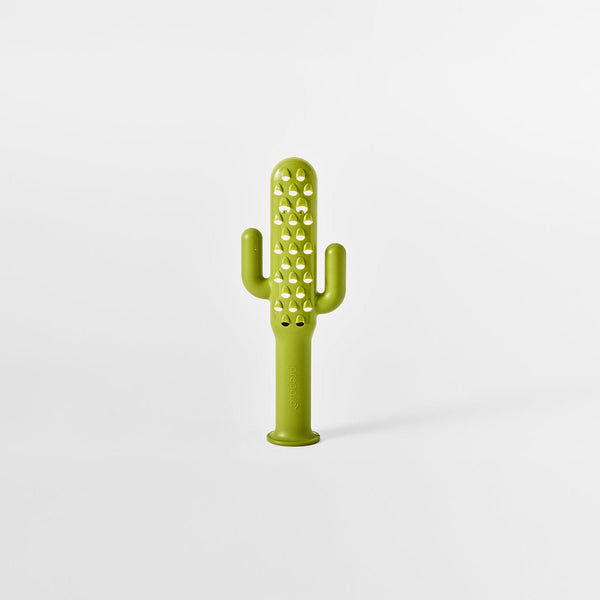 Cactus Cheese Grater