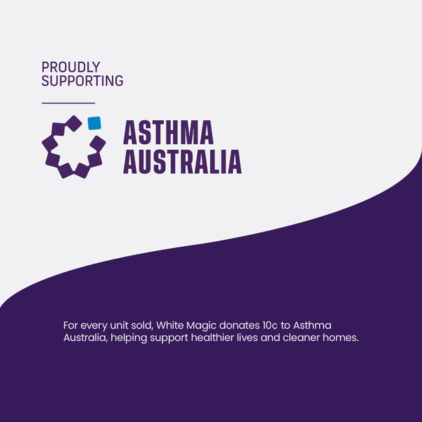 White Magic Spray Mop Dry Pad Refill - 2 Pack