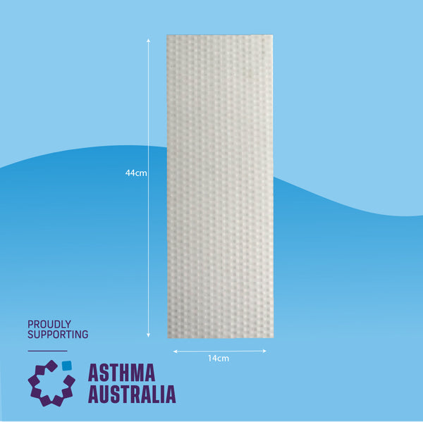 Floor Eraser Sponge 2 Pack